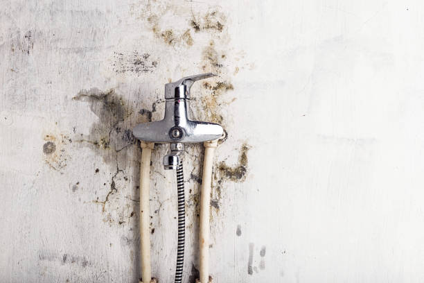 Best Mold Testing  in Keeseville, NY